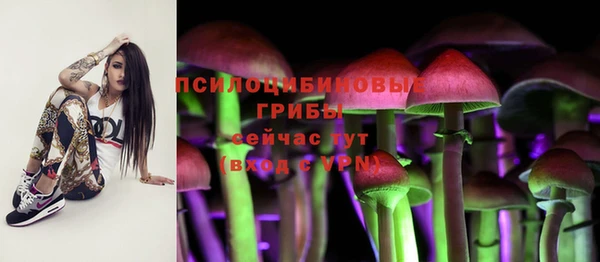 мдпв Осташков