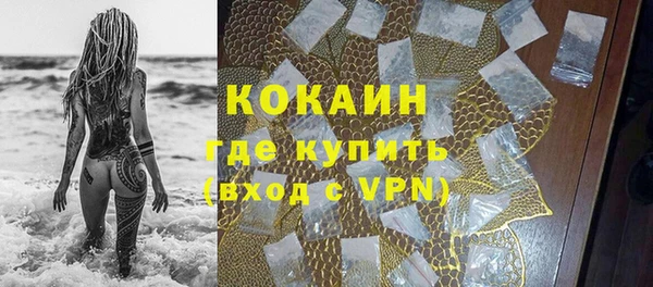 мдпв Осташков
