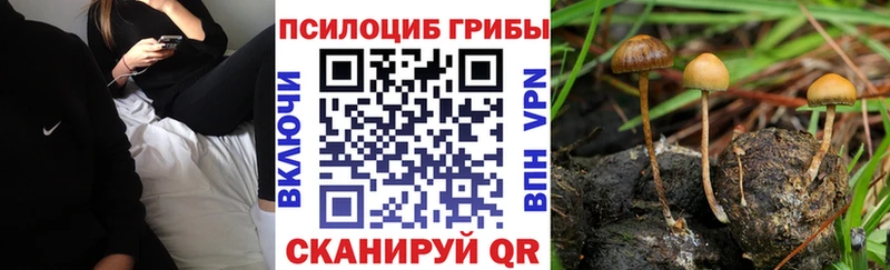 Купить  Белово  Псилоцибиновые грибы ЛСД 